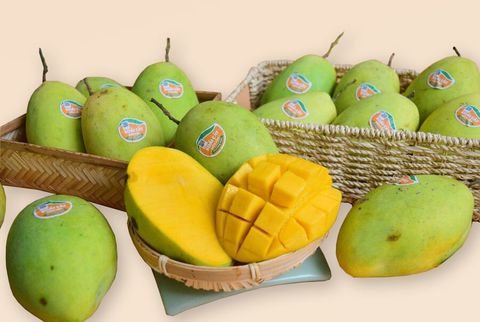 TẤT TẦN TẬT VỀ XOÀI CÁT HÒA LỘC