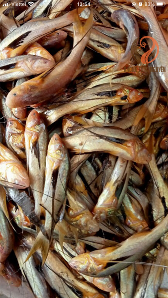 Mình tên PHÈN khác TRÈN nha cả nhà ui!