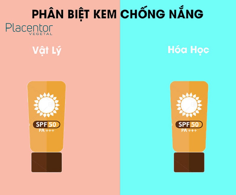 Phân loại các sản phẩm kem chống nắng hiện nay