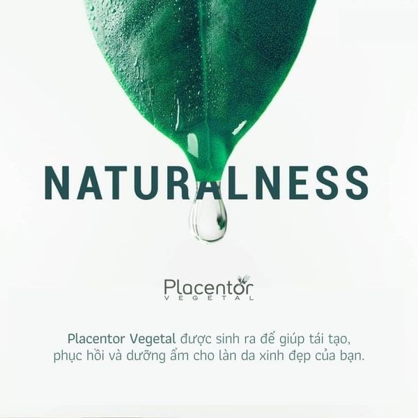 Placentor Vegetal - Công nghệ tế bào gốc noãn thực vật