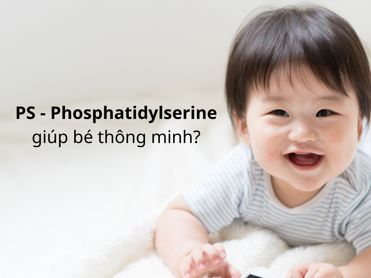 Phosphatidylserine (PS) là chất gì? Tại sao nói PS là chất hỗ trợ phát triển nhận thức ở trẻ