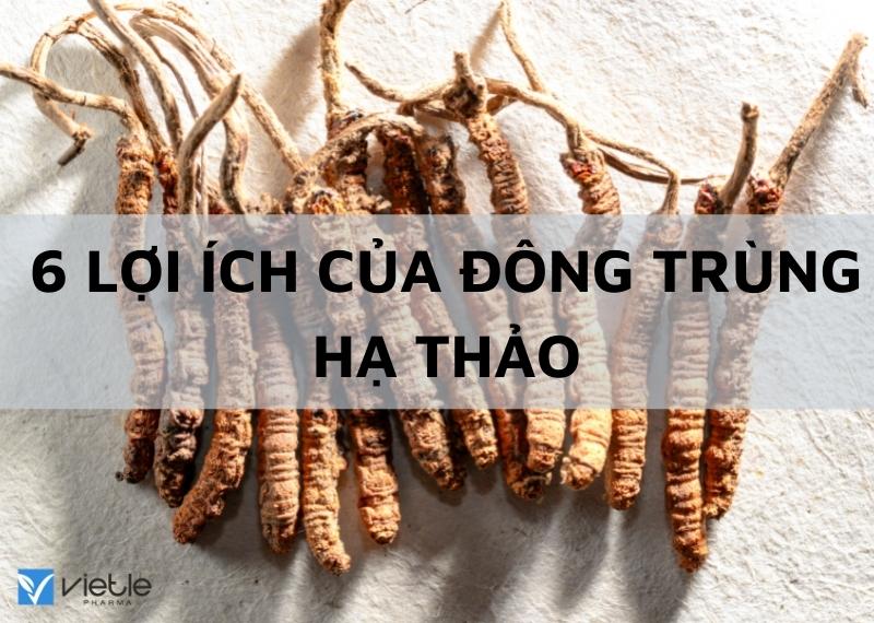 6 LỢI ÍCH CỦA ĐÔNG TRÙNG HẠ THẢO