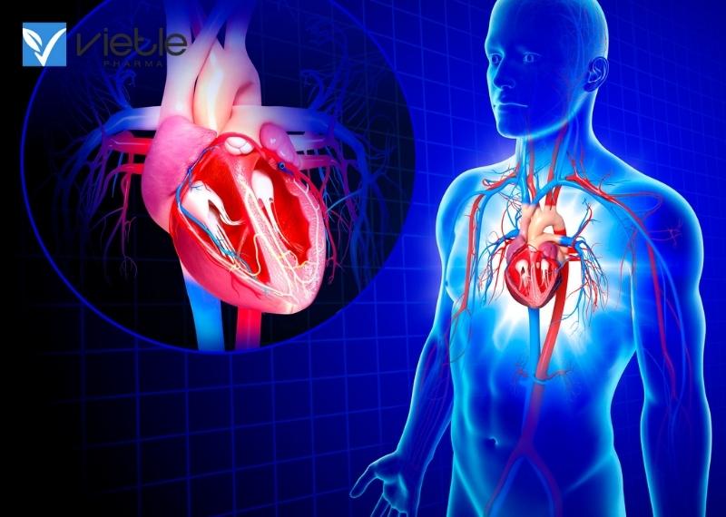 BỆNH VAN TIM: NGUYÊN NHÂN, TRIỆU CHỨNG VÀ HƯỚNG ĐIỀU TRỊ