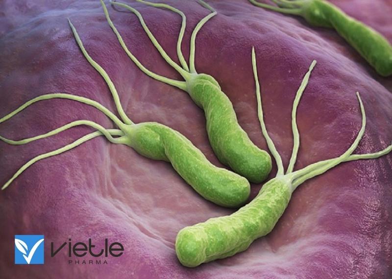 ĐIỀU TRỊ NHIỄM HELICOBACTER PYLORI NHƯ THẾ NÀO?