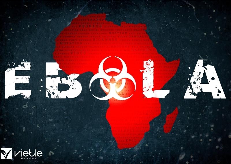 EBOLA LÀ GÌ MÀ TỪNG KHIẾN CẢ THẾ GIỚI CHAO ĐẢO?