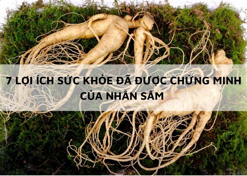 7 LỢI ÍCH SỨC KHỎE ĐÃ ĐƯỢC CHỨNG MINH CỦA NHÂN SÂM