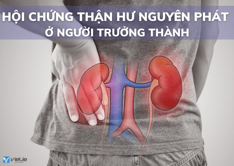 HỘI CHỨNG THẬN HƯ NGUYÊN PHÁT Ở NGƯỜI TRƯỞNG THÀNH