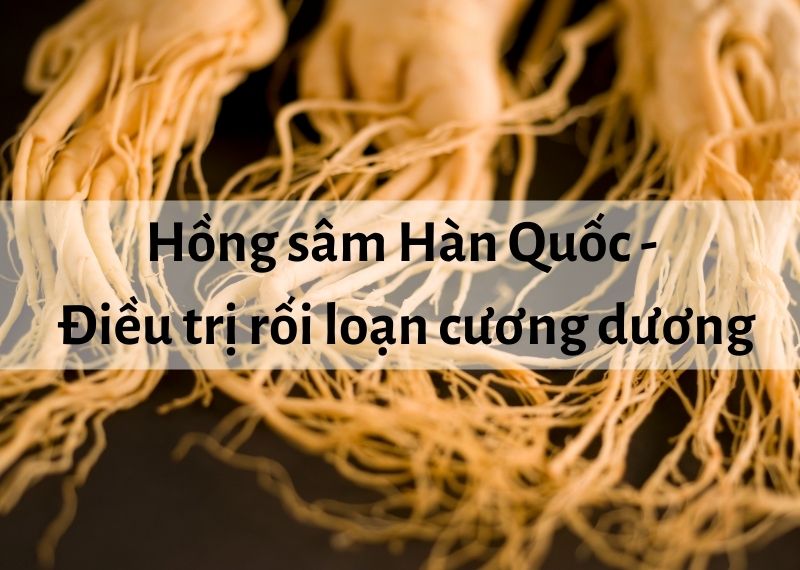 Hồng sâm Hàn Quốc - điều trị rối loạn cương dương