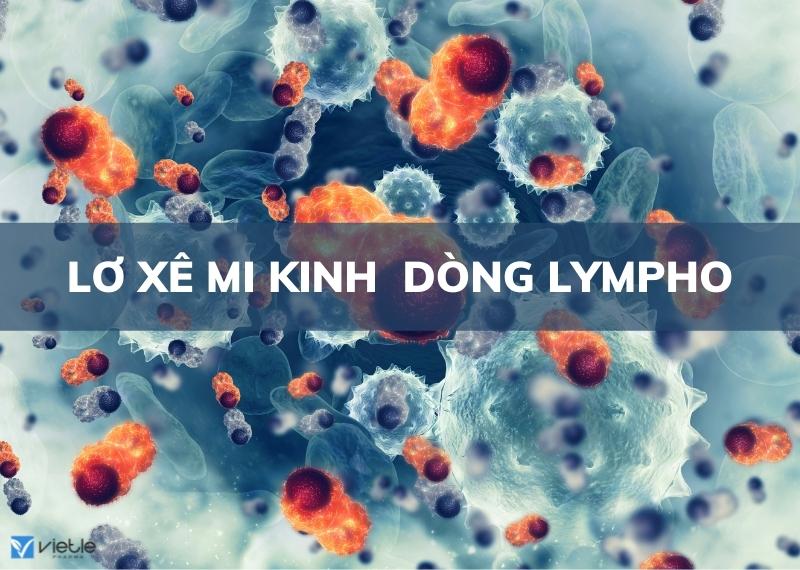 LƠ XÊ MI KINH DÒNG LYMPHO