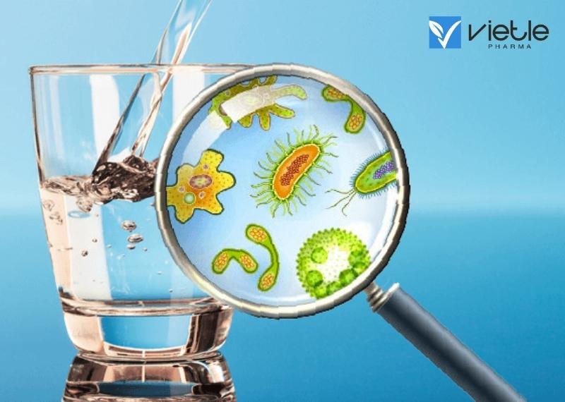 NHIỄM SHIGELLA: BIỂU HIỆN, PHÒNG NGỪA VÀ ĐIỀU TRỊ