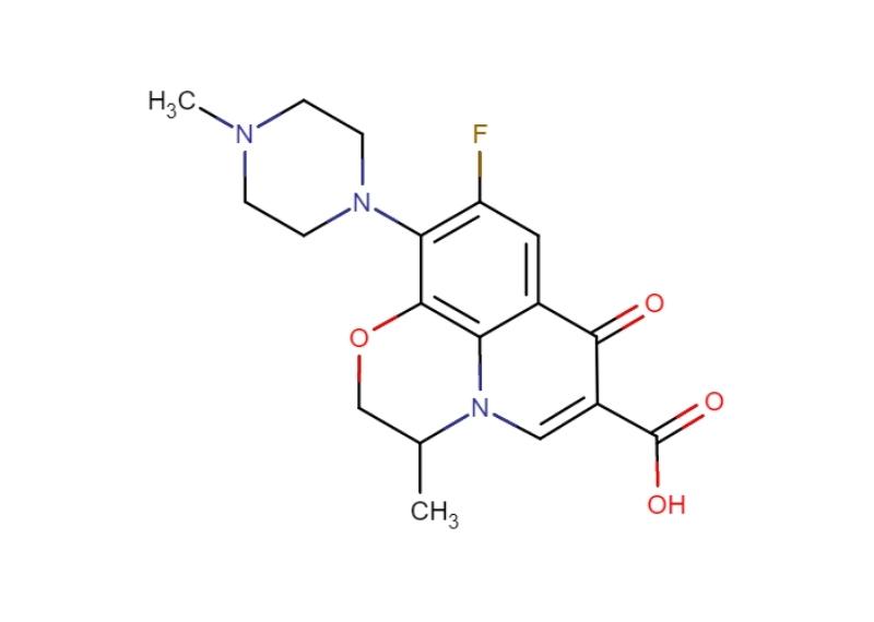 Thuốc nhỏ tai Ofloxacin - Thuốc chống nhiễm khuẩn nhóm quinolon
