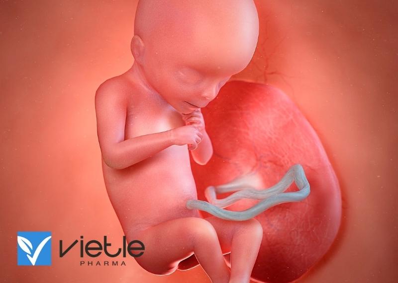 RAU TIỀN ĐẠO CÓ NGUY HIỂM KHÔNG?