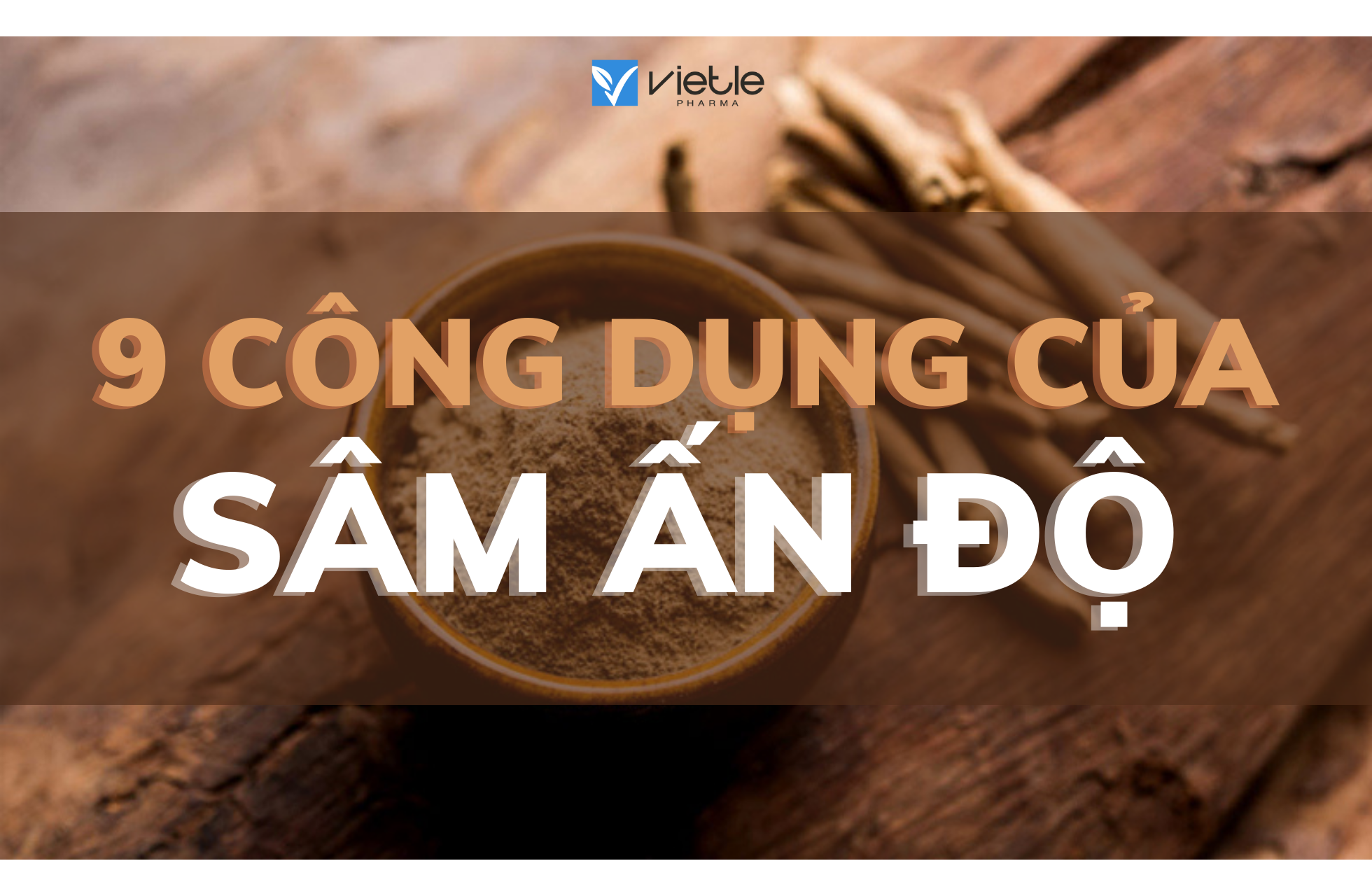 9 CÔNG DỤNG CỦA THẢO DƯỢC NGÀN NĂM SÂM ẤN ĐỘ ASHWAGANDHA