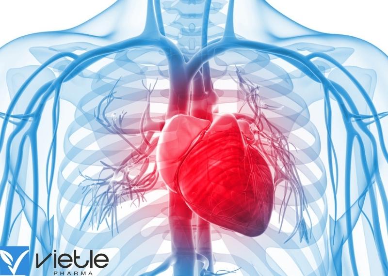 Sốc tim: Chuẩn đoán và xử trí bệnh