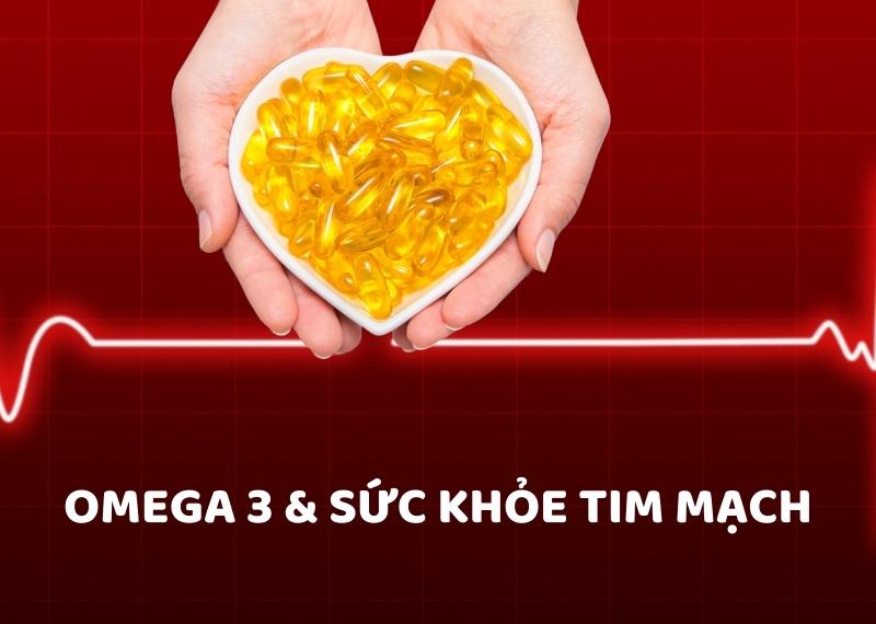 [Nghiên cứu] Tác động tim mạch của việc bổ sung axit béo Omega 3 - JACC
