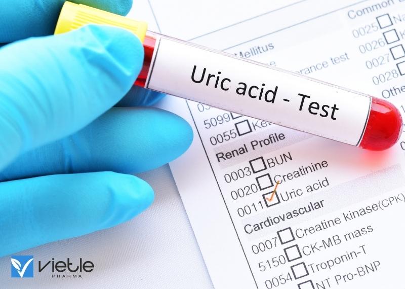 TĂNG AXIT URIC MÁU VÀ BỆNH GÚT