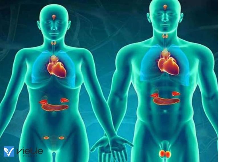 U THẦN KINH NỘI TIẾT - TRIỆU CHỨNG VÀ CÁCH ĐIỀU TRỊ