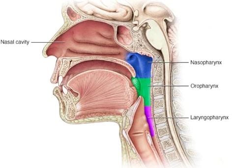 UNG THƯ VÒM HỌNG VÀ NHỮNG ĐIỀU NÊN BIẾT