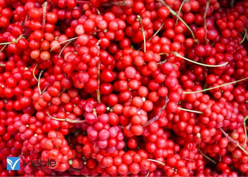 Vị thuốc quý ngũ vị tử: Những điều cần biết