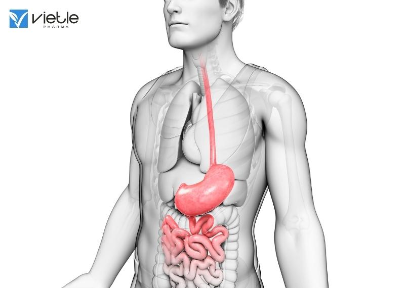 XUẤT HUYẾT TIÊU HÓA DO ÁP LỰC TĨNH MẠCH CỬA