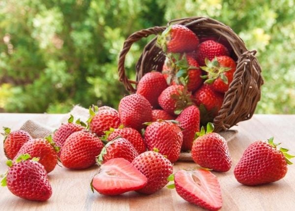 10 siêu thực phẩm giúp 'chữa lành' cơ thể bạn