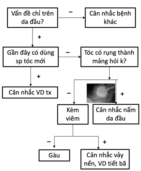 Xác định bệnh gàu