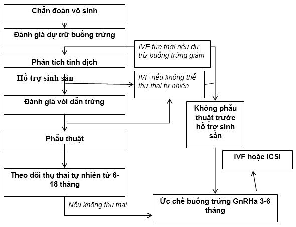 BẢNG 2 LẠC NỘI MẠC TỬ CUNG