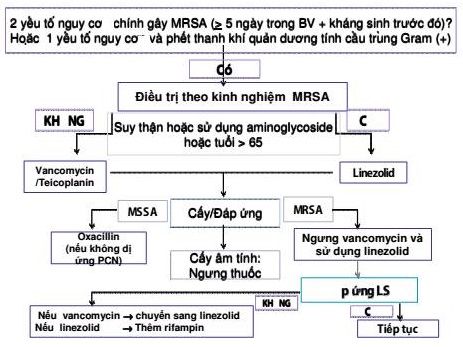 Bảng 2 Viêm phổi mắc phải ở bệnh viện