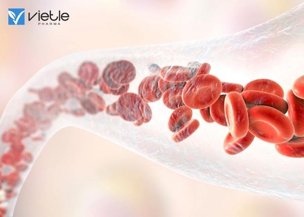 BỆNH MÁU Ở NGƯỜI GIÀ