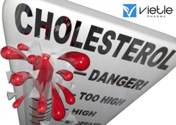 CHOLESTEROL VÀ TIM MẠCH