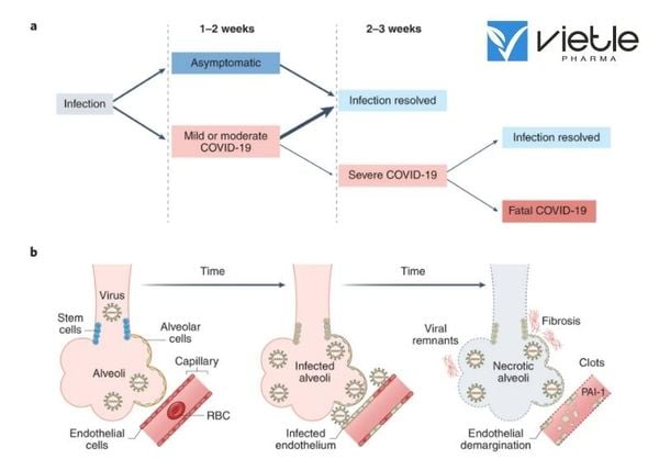 Diễn biến thời gian của nhiễm COVID-19
