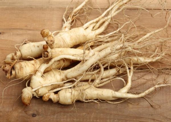 7 LỢI ÍCH SỨC KHỎE ĐÃ ĐƯỢC CHỨNG MINH CỦA NHÂN SÂM