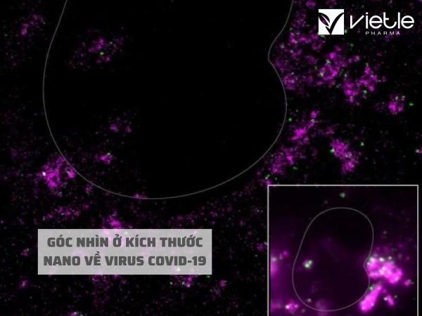 GÓC NHÌN Ở KÍCH THƯỚC NANO VỀ VIRUS COVID-19