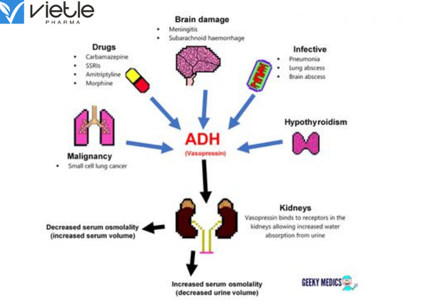 Hội chứng tiết ADH không thích hợp