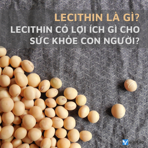 lecithin