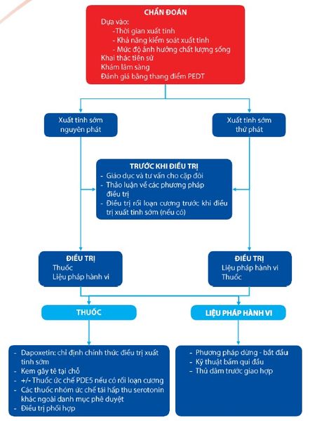 Lưu đồ chẩn đoán và điều trị xuất tinh sớm