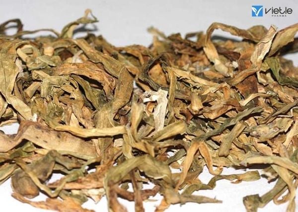 NGHIÊN CỨU TÁC DỤNG CỦA THÀNH PHẦN TRONG SÂM NHUNG BỔ THẬN PLUS