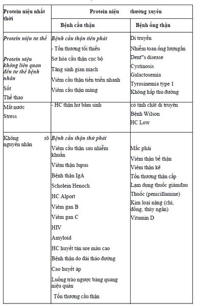 NGUYÊN NHÂN CỦA PROTEIN NIỆU