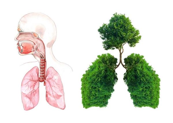 Những cách tự nhiên để làm sạch phổi của bạn