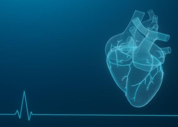Omega 3 – Chìa khóa vàng trong phòng ngừa các bệnh tim mạch