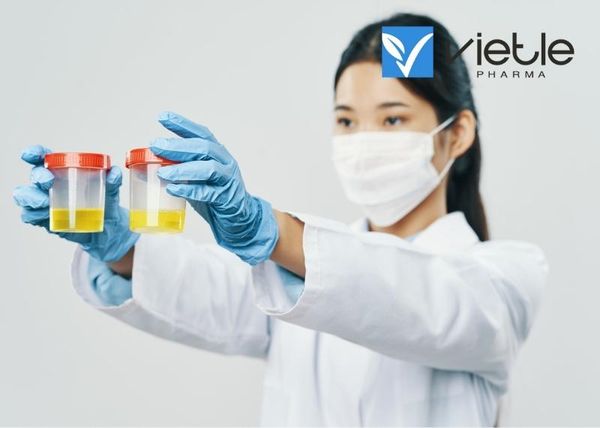 Protein niệu thai kỳ