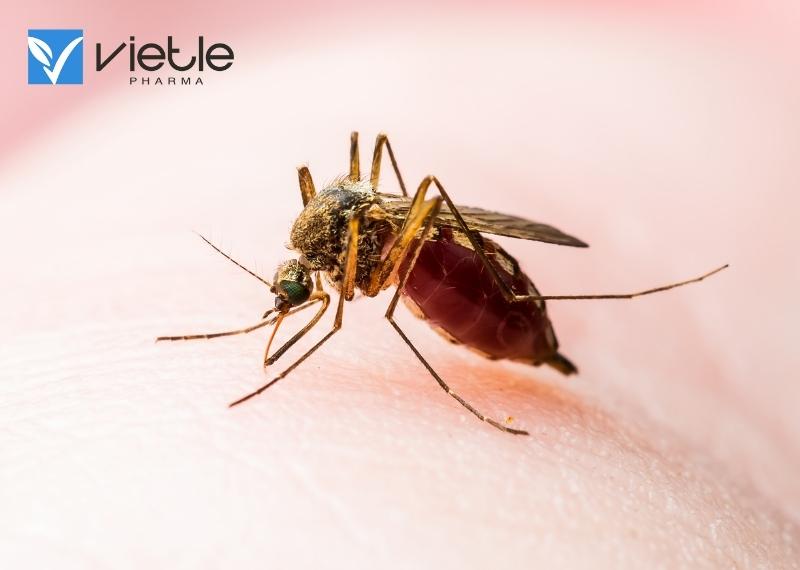 SỐT VÀNG LÀ GÌ? NGUYÊN NHÂN VÀ CÁCH ĐIỀU TRỊ