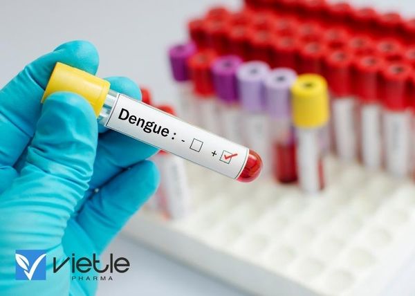 Sốt xuất huyết Dengue