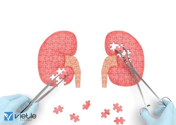 nguyên nhân gây bệnh suy thượng thận cấp