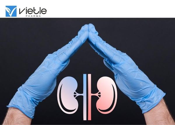 thiếu máu ở bệnh thận mạn
