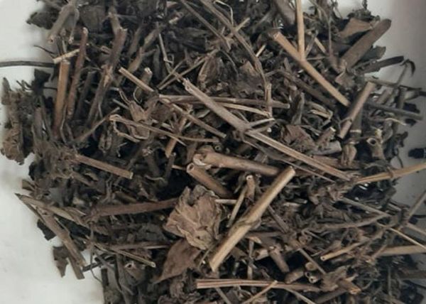 Thực hư giải độc gan bằng các phương pháp dân gian