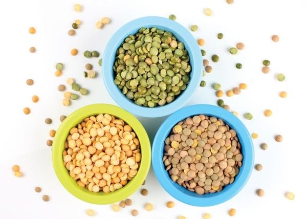 thực phẩm giàu protein và chất xơ giúp giảm cân