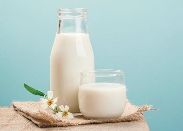 Trẻ uống quá nhiều sữa tươi và những hệ lụy với sức khỏe