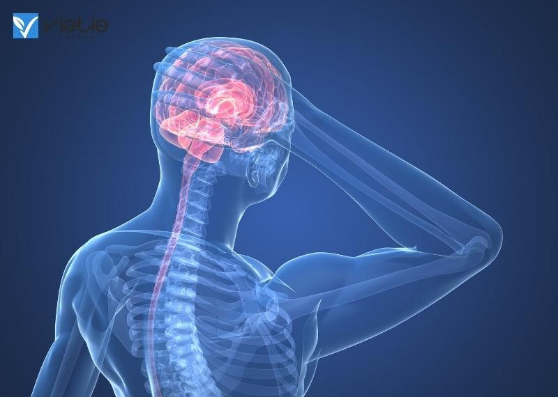 U màng nội tủy trong sọ bệnh ung thư nguy hiểm