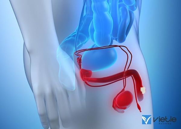 ung thư dương vật ảnh hưởng đến cuộc sống như thế nào?